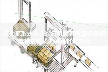 海南抓取式自动装箱机哪家质量好(如何选择z优质的装箱机供应商)