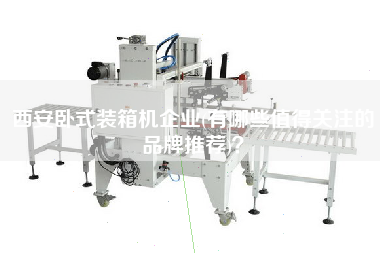 西安卧式装箱机企业(有哪些值得关注的品牌推荐)？