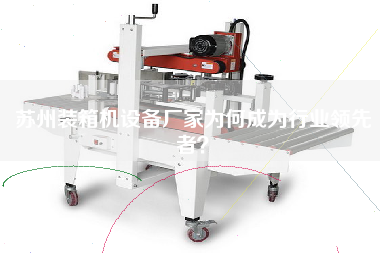 苏州装箱机设备厂家为何成为行业**者？