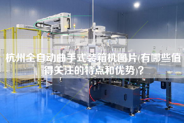 杭州全自动曲手式装箱机图片(有哪些值得关注的特点和优势)？